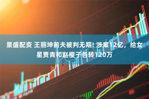 景盛配资 王丽坤前夫被判无期! 涉案12亿，给女星贾青和赵樱子各转120万